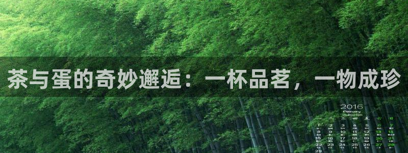 安信12娱乐平台