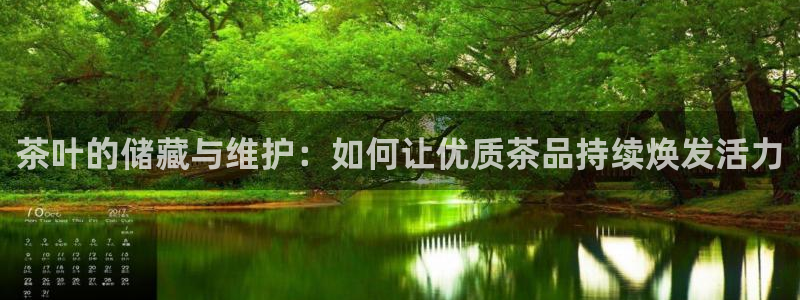 安信12网页版