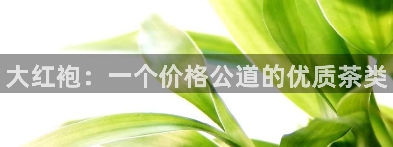 安信12网页版