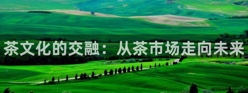 安信12平台可靠吗