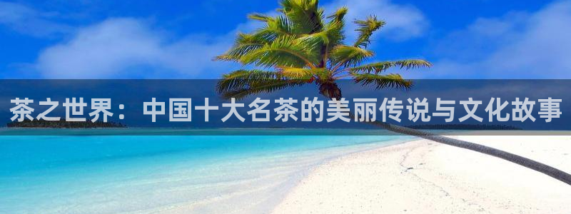 安信12月金股