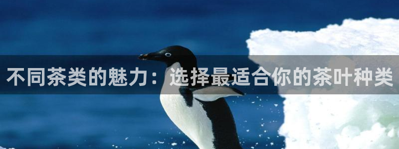 安信12真假