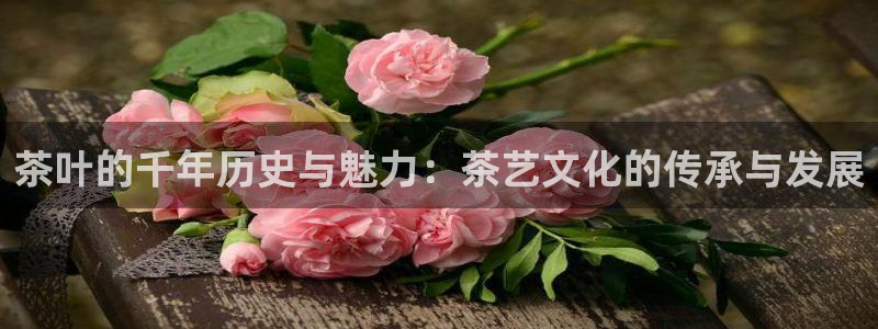 安信可 esp-12