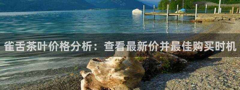 安信12娱乐注册