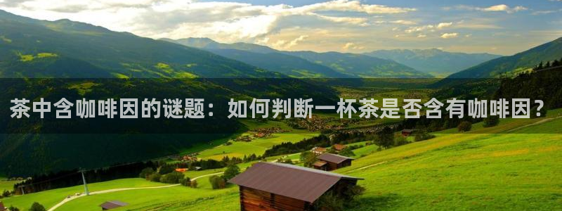 安信12官网