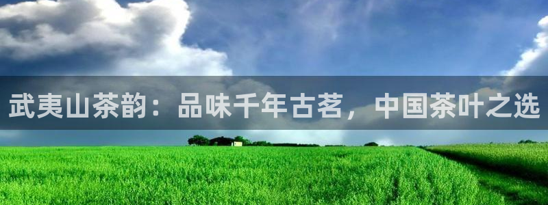 安信12负责人