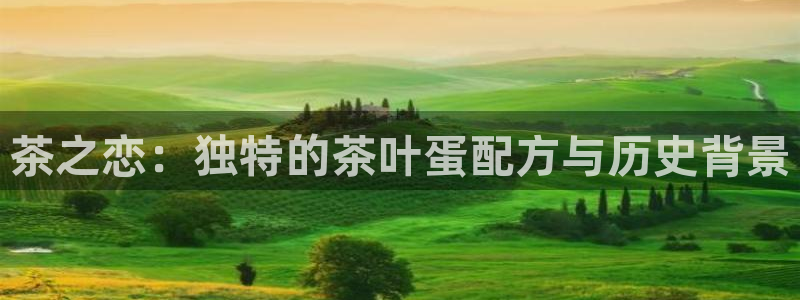 安信cw12系列