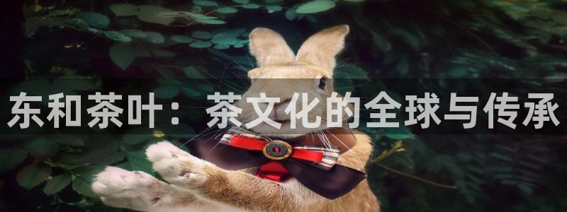 安信12是啥