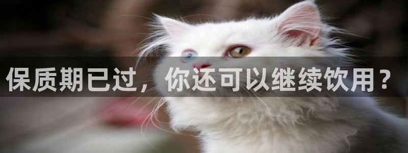 安信12软件介绍