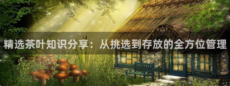 安信cwa12