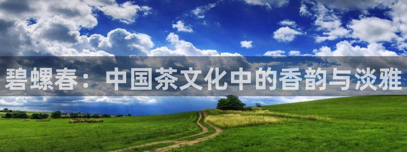 安信cwa12
