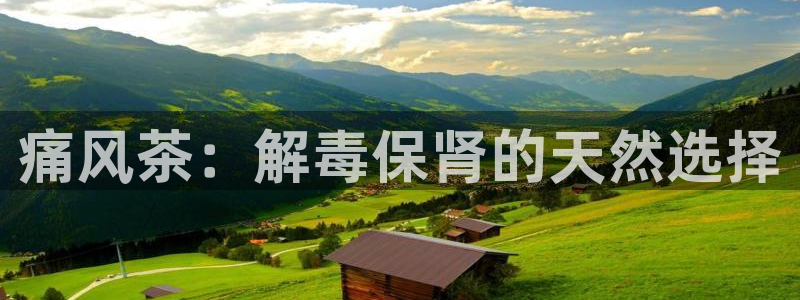 安信12平台最新消息