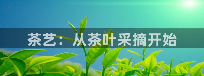 安信12彩票