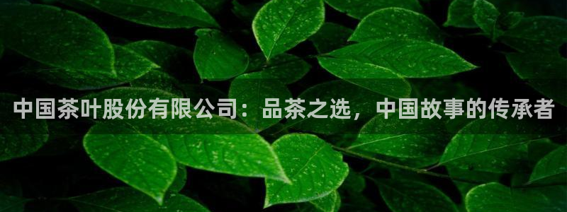 安信4特邀55 12