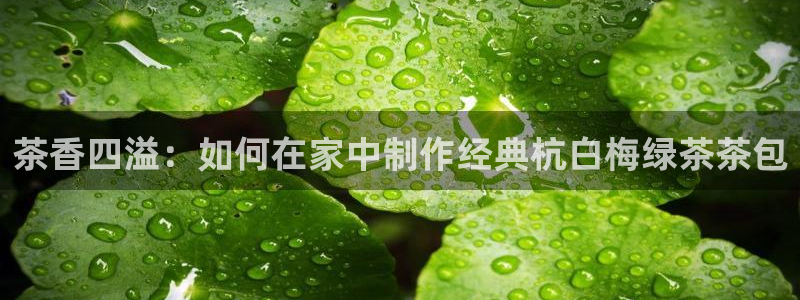 安信12周年庆典