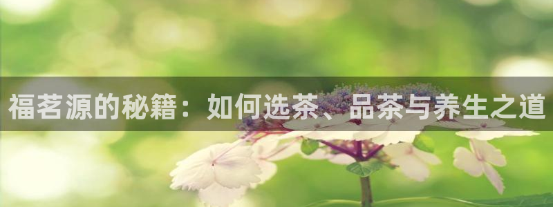 奇安信12流转场