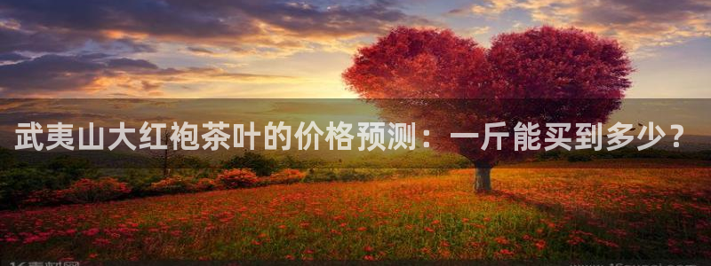 安信esp12