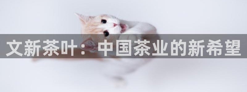 安信12网页版
