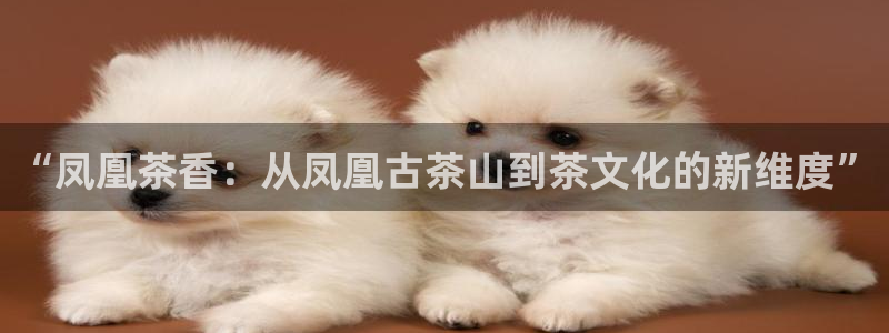 安信12挂机