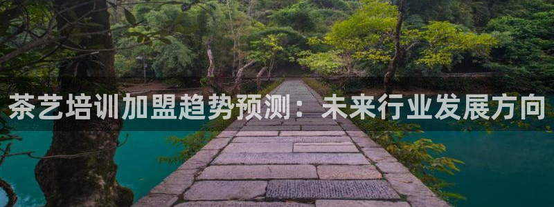 安信t12