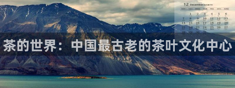 安信12专用挂机