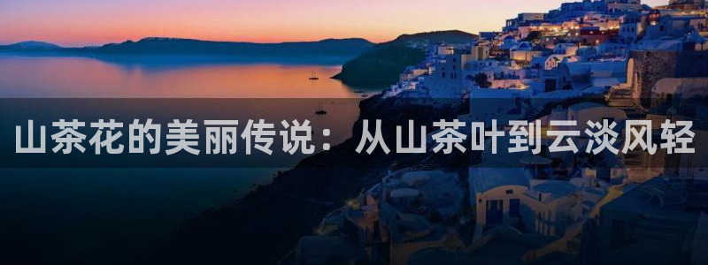 安信12平台的网址