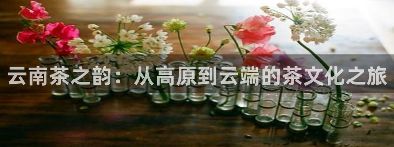 安信12软件介绍