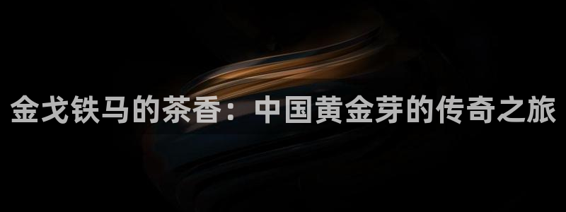 安信12正版下载