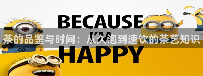 安信可wb12