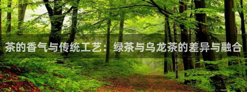 安信12周年