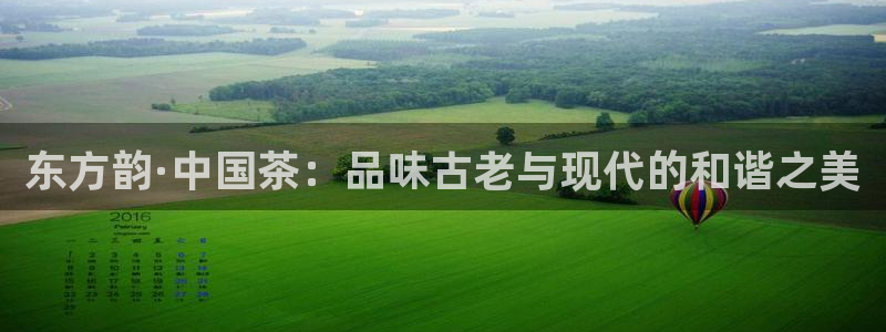 安信12软件介绍
