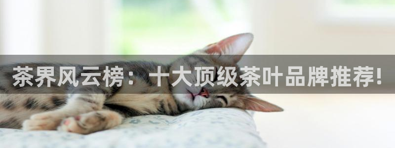 安信12是什么