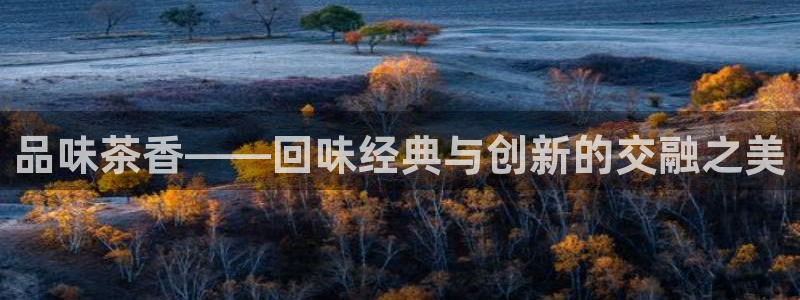 安信t12