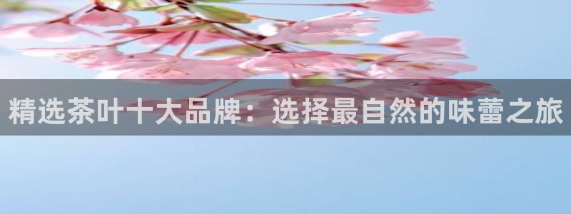 安信可12e12f