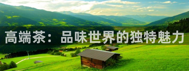 12月安信推荐