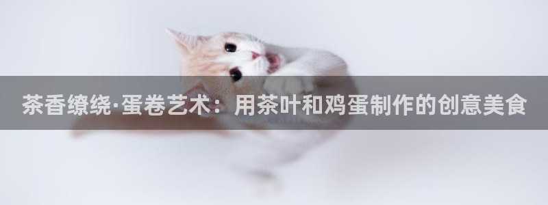 安立信12改装