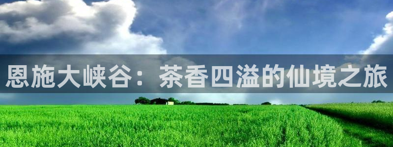 安信cw12系列