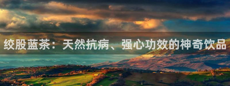 安信12网页版
