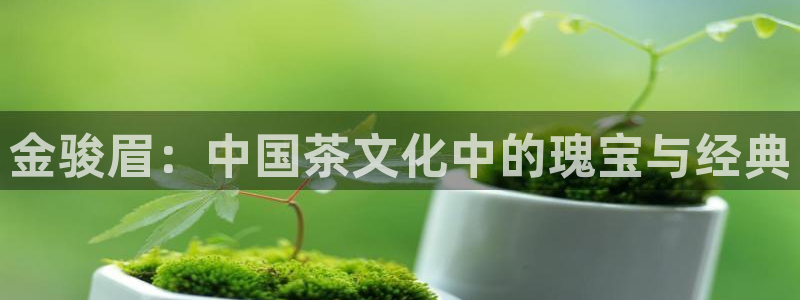 安信可f12