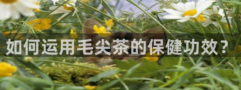 安信可12e12f