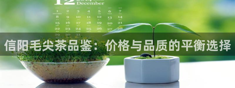 信安12乐打棒