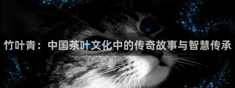 安信12娱乐主管