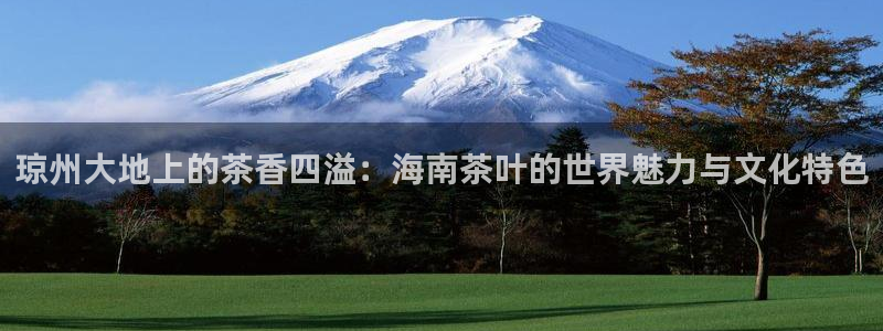 安信12开户