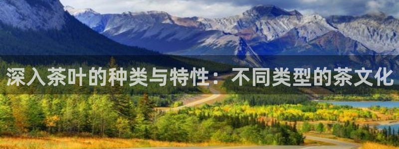 安信12级大众