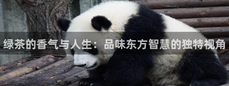安信12娱乐开户