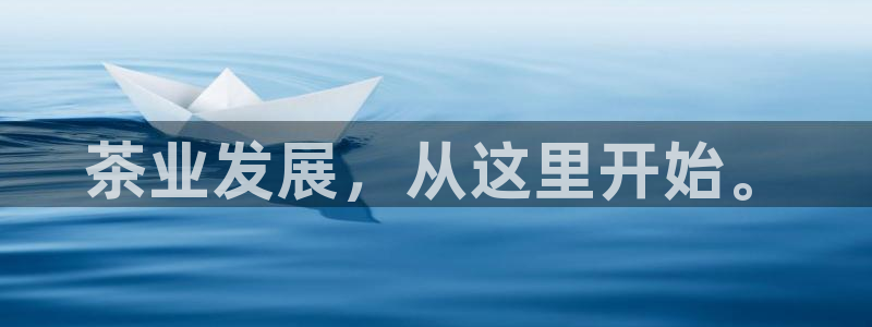 安信12彩票app下载