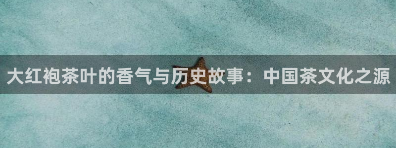 安信12级大众