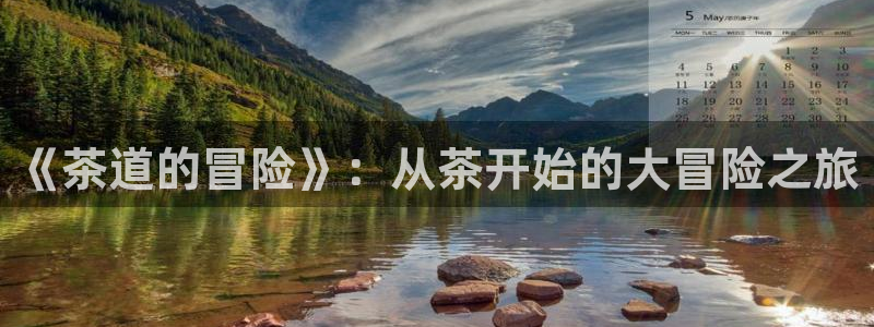 安信12是什么平台