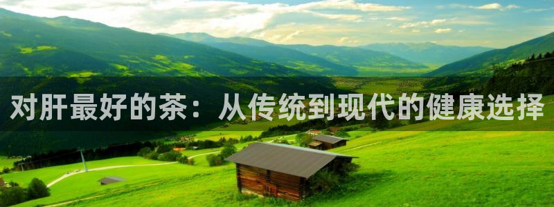 安信卓越12月