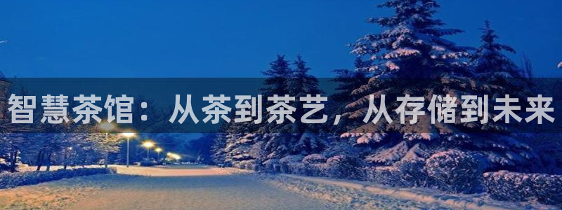 安信卓越12月